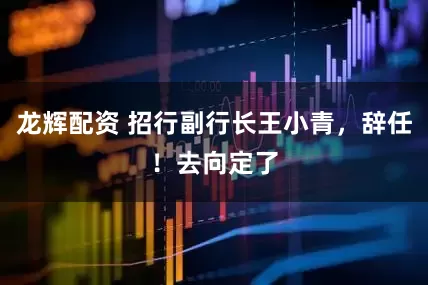 龙辉配资 招行副行长王小青，辞任！去向定了